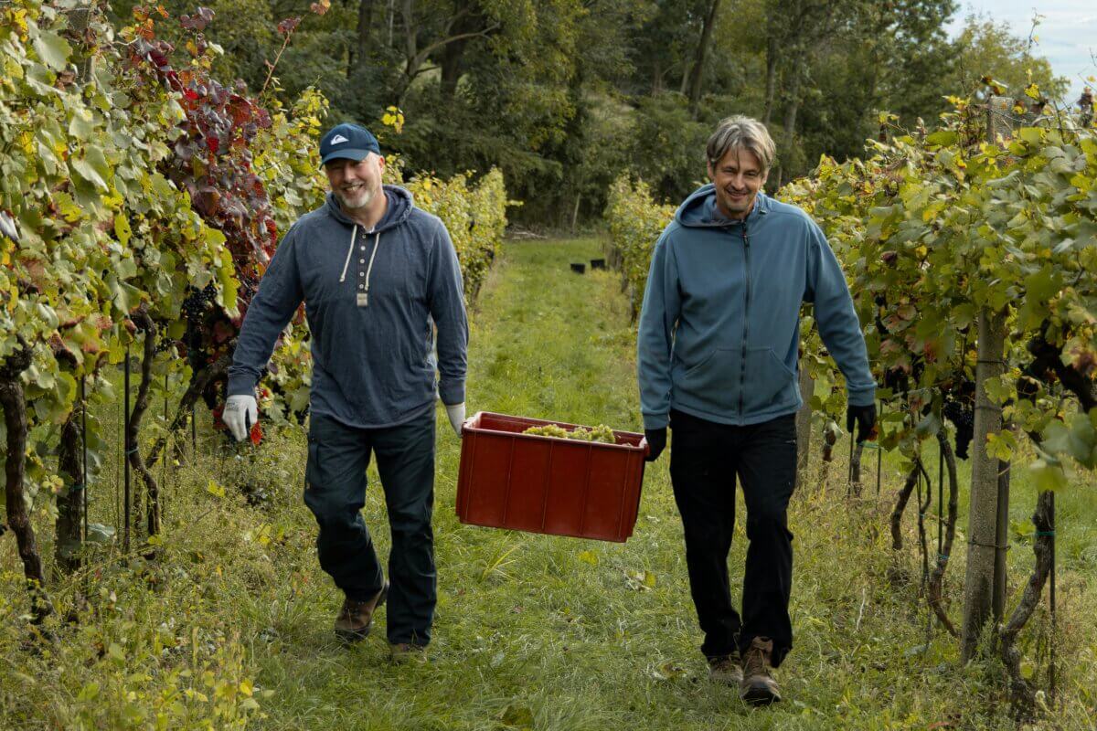 Firemní degustace vín – Vinařství Fučík Mikulov