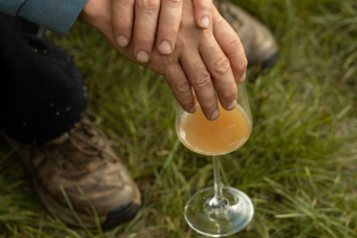 Povídání o víně – Vinařství Fučík